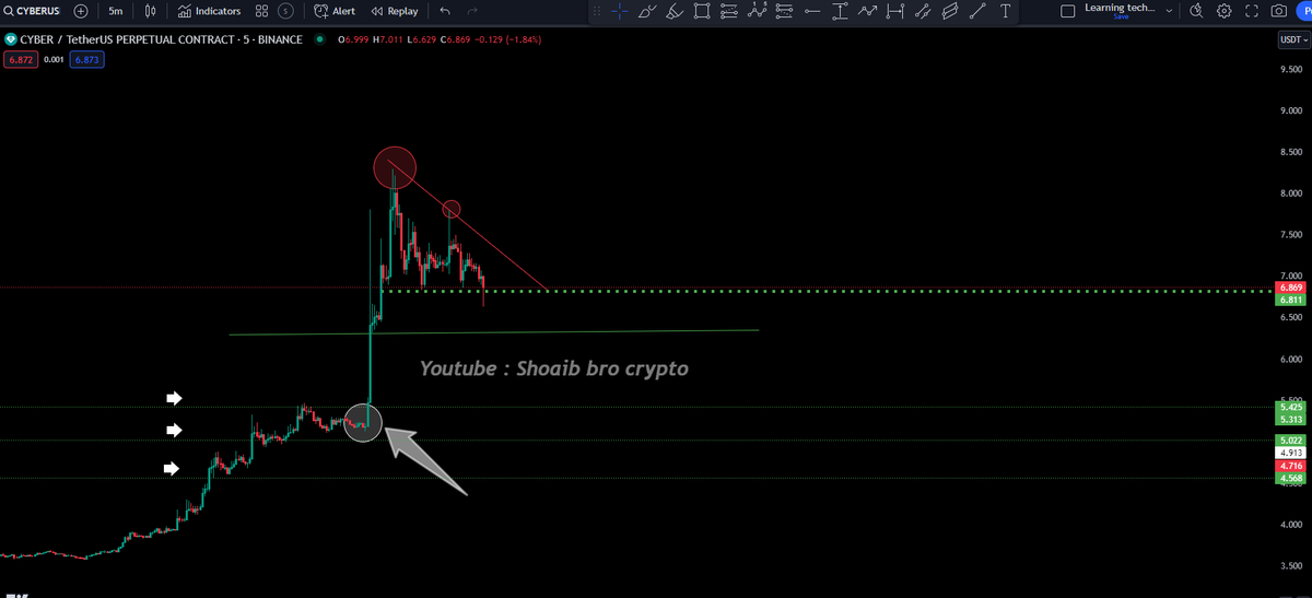 shoaibbrocrypto's tweet photo. $CYBER in gainers , to the moon!
( Holding power 69x ) 
#cyberusdt has up volume you guys can focus on longs on ( pull backs ) ; the selling point is 6.350$
&amp; Extreme selling 🔻 is at 
5.425$ 
5.022$
4.5683 https://t.co/bZnIiWT8gL