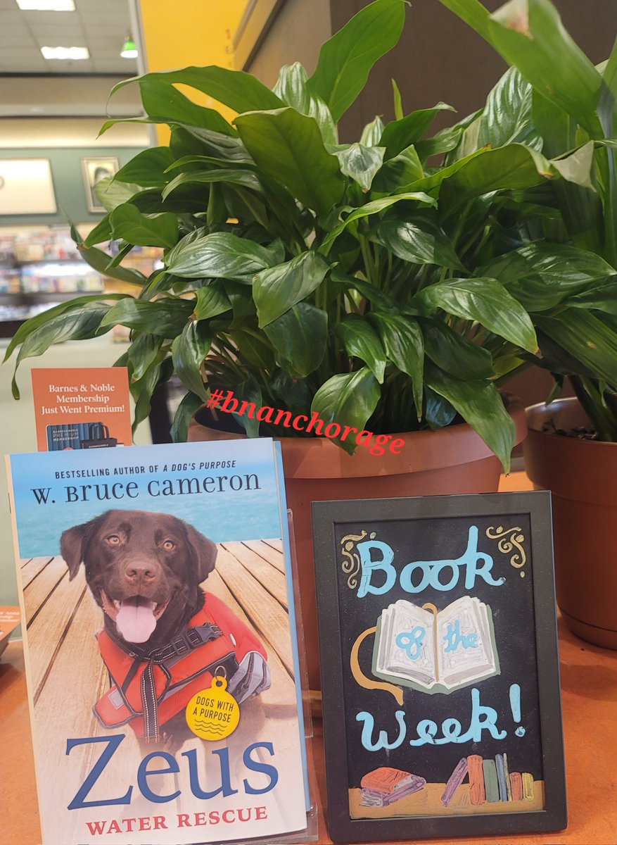 BNAnchorage's tweet photo. Friday, September 15th at 6pm your #bnanchorage will be hosting a signing with W.Bruce Cameron! His newest book Zeus Water Rescue came out today! 
Pick up your copy or one of his many other titles! Make sure to talk to a bookseller about getting your wristband for the event! https://t.co/Z2WPn4ucT3
