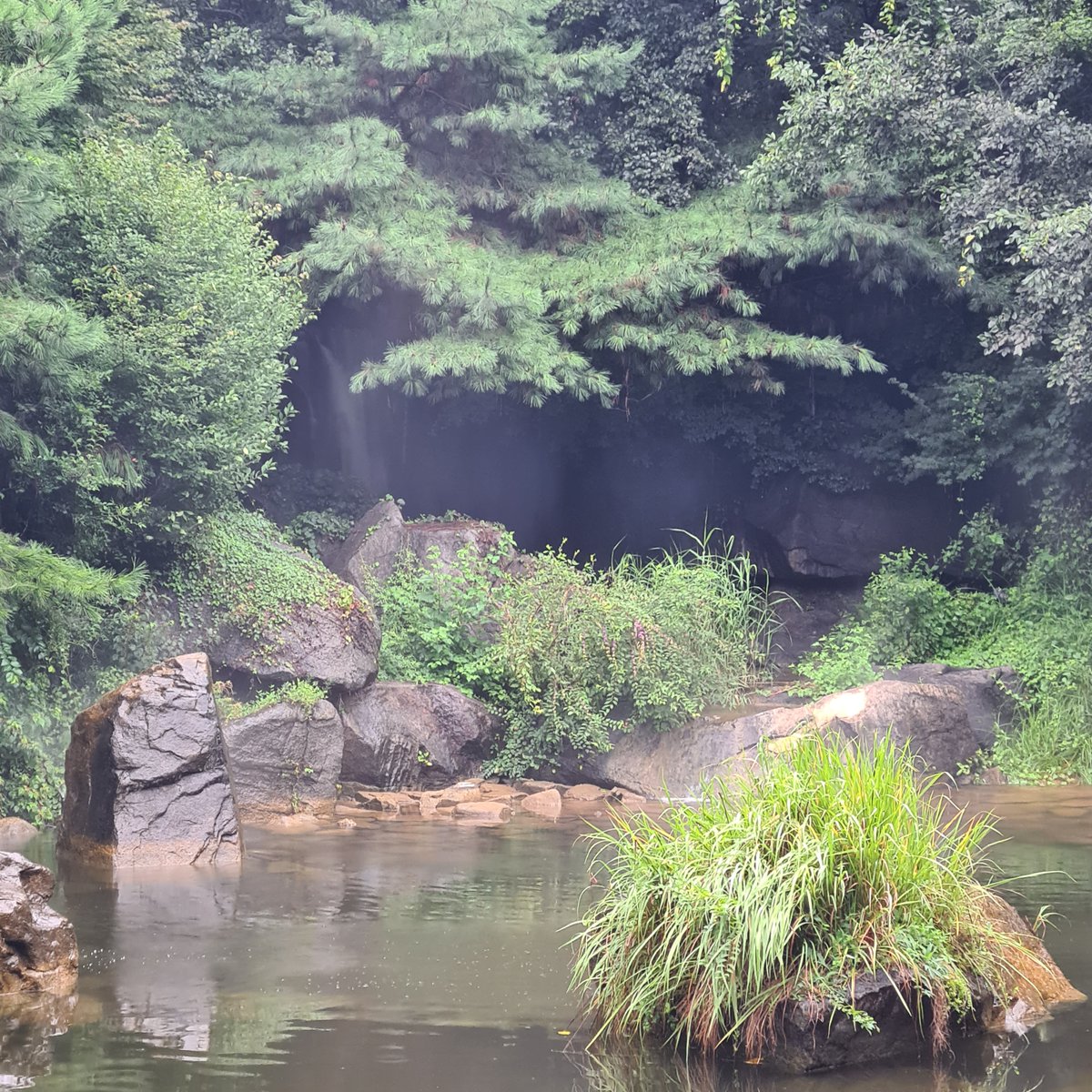 Isabwell's tweet photo. Today is my last day in #Seoul and the last day of #IsaInAsia. The feeling is bitter sweet. To say goodbye I filmed a stroll through my favourite park here in Seoul. No music, no talking. Just nature sounds!^^
➡️ https://t.co/dHZMwLG8rW https://t.co/dWxloStd77