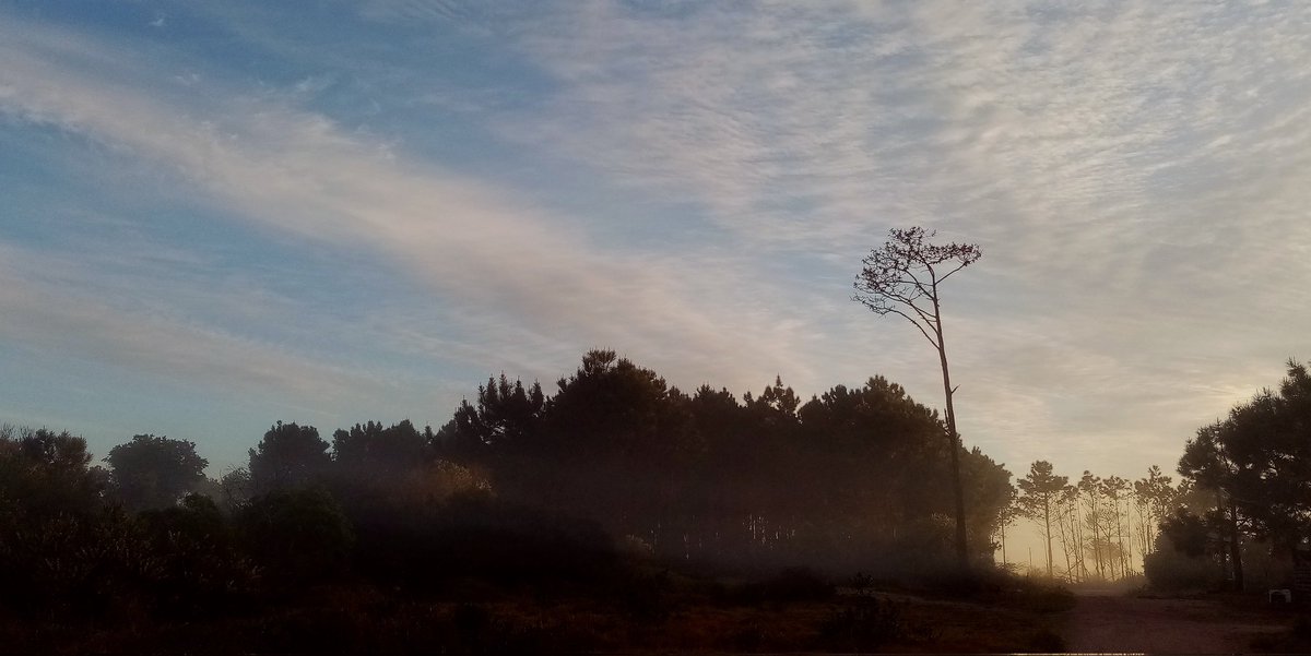 JPdldiablo's tweet photo. Ama-neciendo el Bosque.
Barrio el Bosque.. https://t.co/cAcEnL6rCo