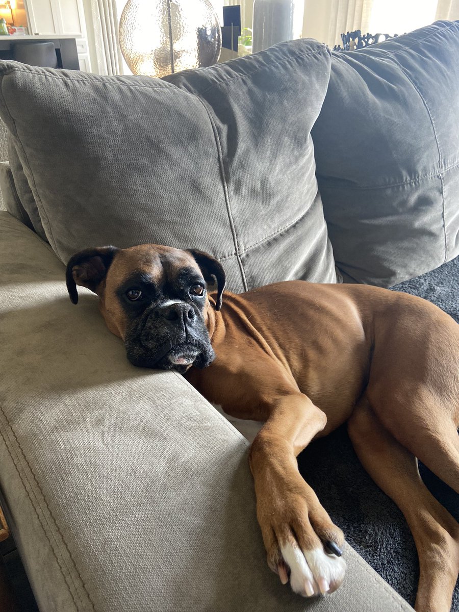 One of us is clearly more excited for football season than the other!