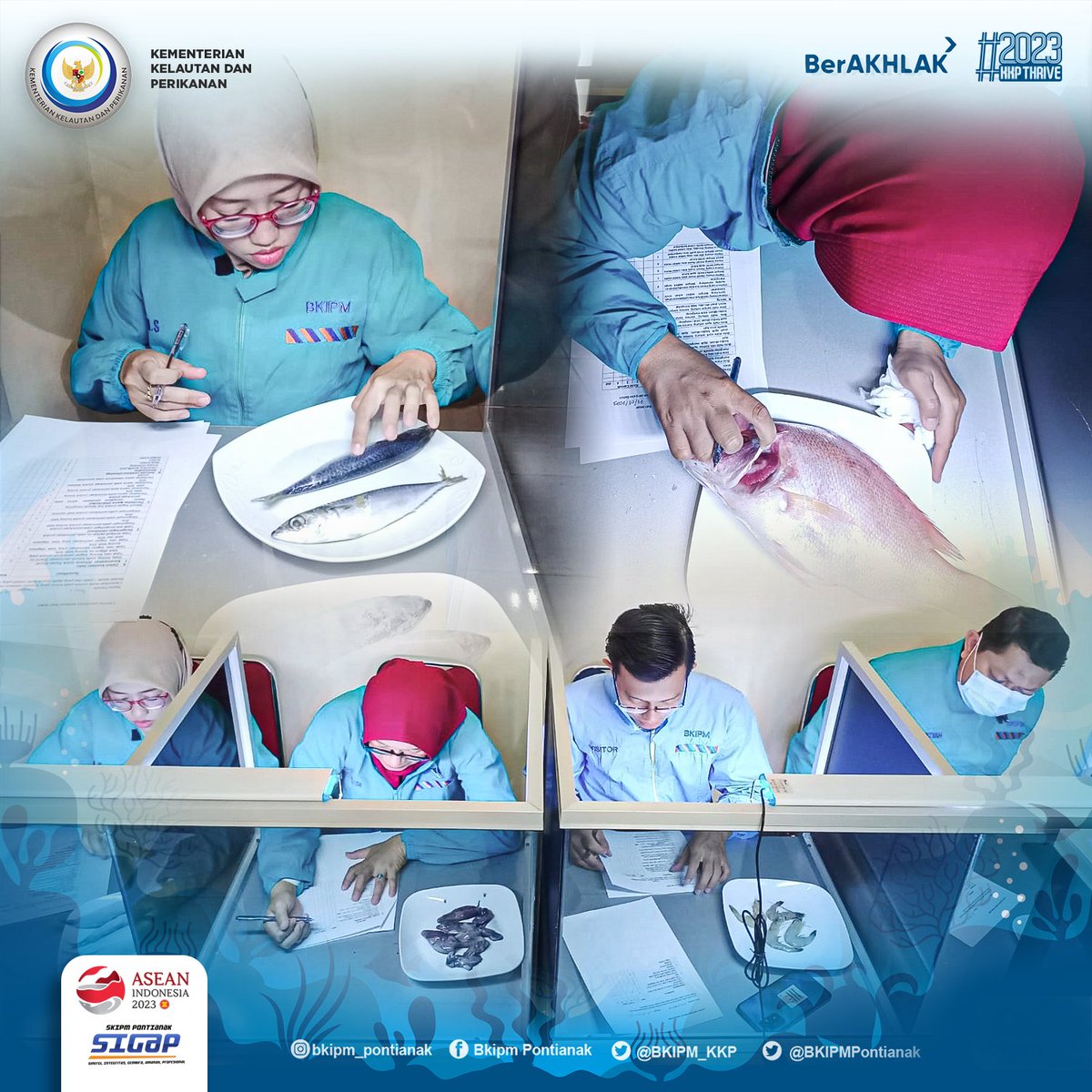 bppmhkp_pnk's tweet photo. Hai #SahabatBahari Para Penelis sedang melakkan Pengujian Organoleptik Laboratorium pada Sampel Official Control Surveilan UPI 
#SEMANGATGOTONGROYONG #BKIPMSEMAKINHEBAT #KKPAThrive #KKPGOID #MENTERIKKP #SAKTIWAHYUTRENGGONO #BERAKHLAK #SKIPMPontianakSIGAP #BANGGAMELAYANIBANGSA https://t.co/ZqFsS2RZjW