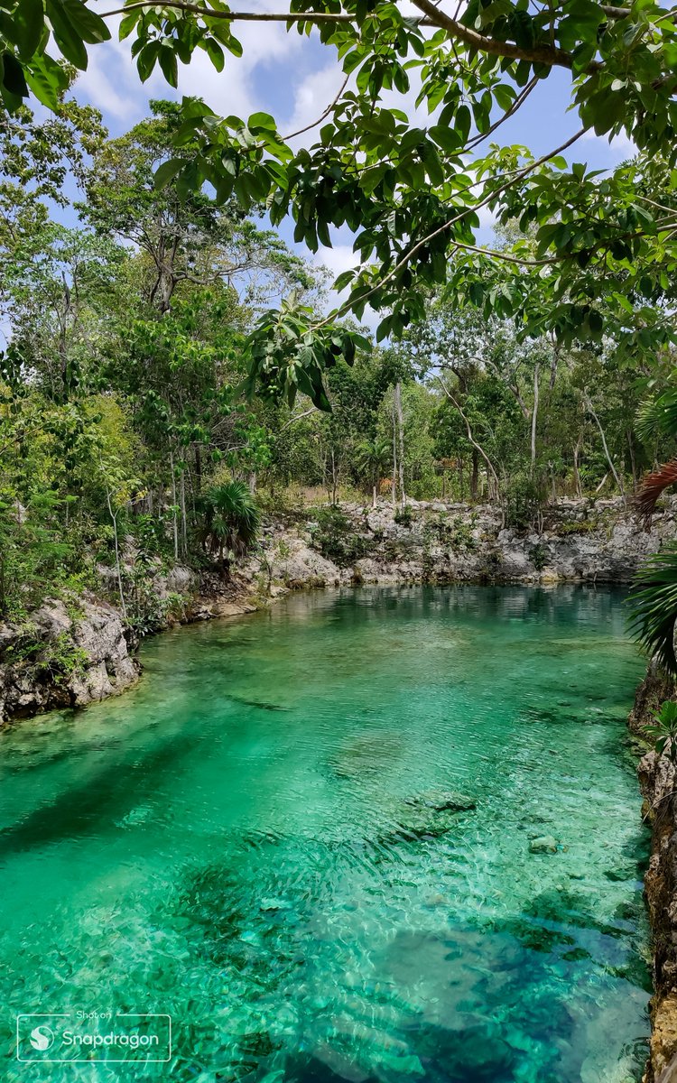 M1K4_3L's tweet photo. Cenote is a natural pit, or sinkhole, resulting from the collapse of limestone bedrock that exposes groundwater. The term originated on the Yucatán Peninsula of Mexico.

#ShotOnSnapdragon #PlacesToPreserveChallenge #LearnWithSnapdragon https://t.co/Gkti2rrdEb