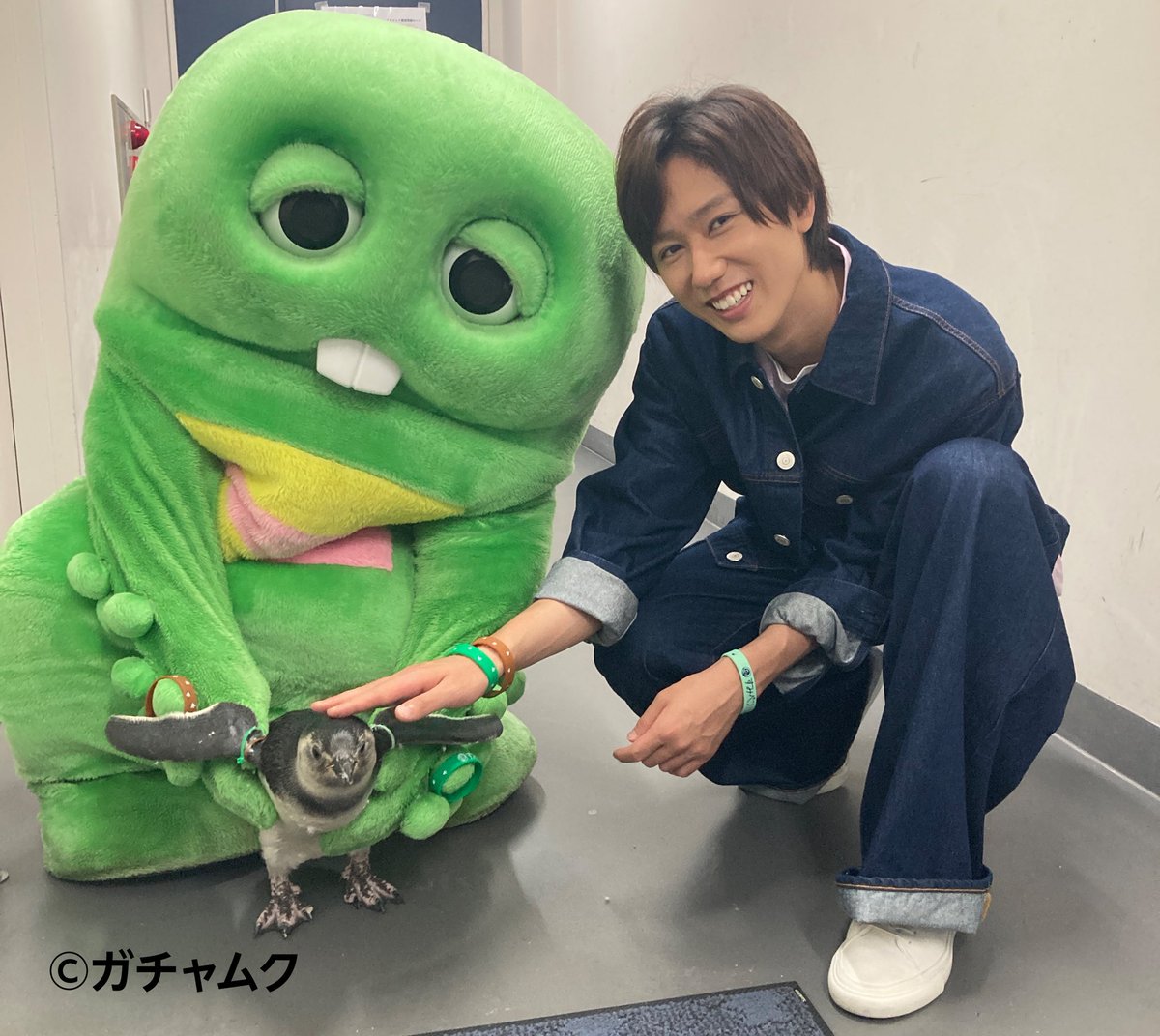 こちらも撮影していただきました😊 ガチャピンさんとぽんず🐧 とっても