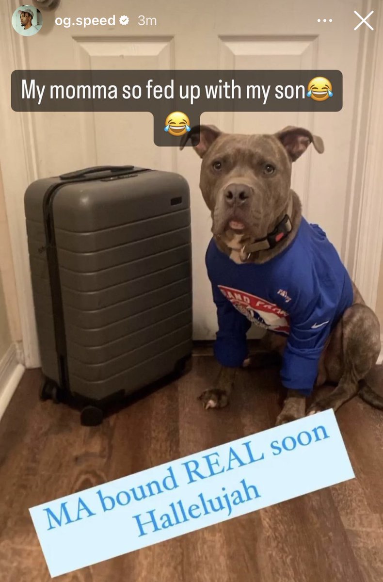 LosTalksPats's tweet photo. Now that #Patriots rookie Ameer Speed officially made the team, he gets to move his son out to Massachusetts with him! 😂

Happy for you @OG__speed — Pats Nation is rooting for you!

#ForeverNE https://t.co/I0q3enNjCQ