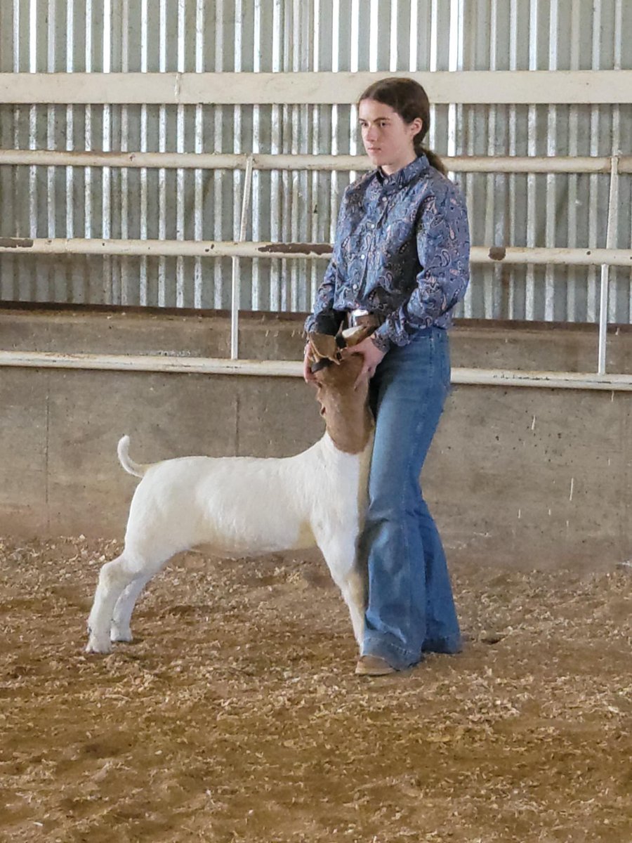 Meet our Reporter!
Hi, I’m Sarah Gallian, the GCFFA Reporter.
I am a junior at GHS and in my 3rd year in FFA raising goats.
My favorite things about FFA are the things you learn and the people you meet.  FFA has taught me hard work and responsibility.