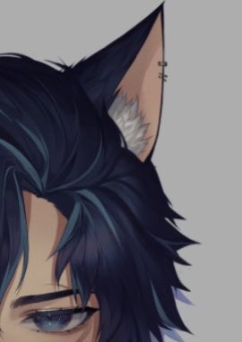 Nero 🌙🦴 tweet media