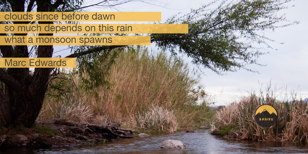 clouds since before dawn so much depends on this rain what a monsoon spawns @MEdwardsWrites (Originally published on September 4, 2021, as a #summer monsoon moved through the Sonoron Desert of Arizona.) poemsandhaiku.blogspot.com/2021/09/monsoo… #haiku