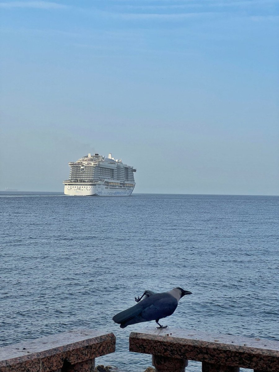 HumayoonAsad's tweet image. Goodbye crow style! Perhaps he is trying to say bye to the departing ship. 😅
#funphotography #justforfun 
#mobilephotography #iphonephotography 
#IndiAves #birdphotography