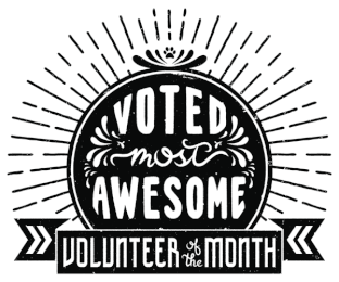 harrington_pta's tweet photo. If you know of an outstanding Harrington Volunteer whose efforts should be recognized, please complete the following Google form: Harrington Volunteer of the Month - Recognitions -
https://t.co/2YEYj80Oyq https://t.co/VPsseaaKdZ