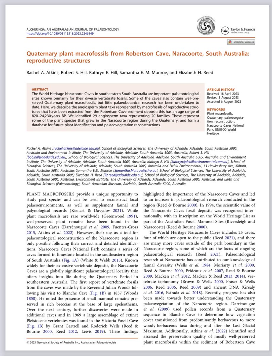 New paper alert!📃 Quaternary plant macrofossils from Robertson Cave, Naracoorte, South Australia: reproductive structures This paper comes from the PhD work of our own Rachel Atkins, go give it a read 👀 tandfonline.com/doi/full/10.10…