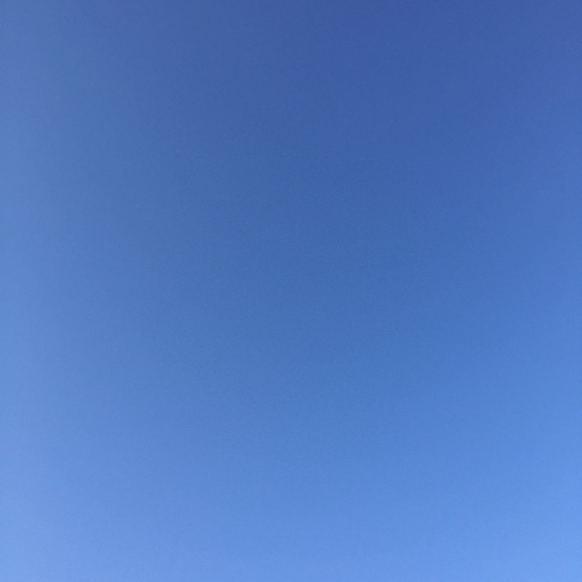 JOE MACLEOD tweet media