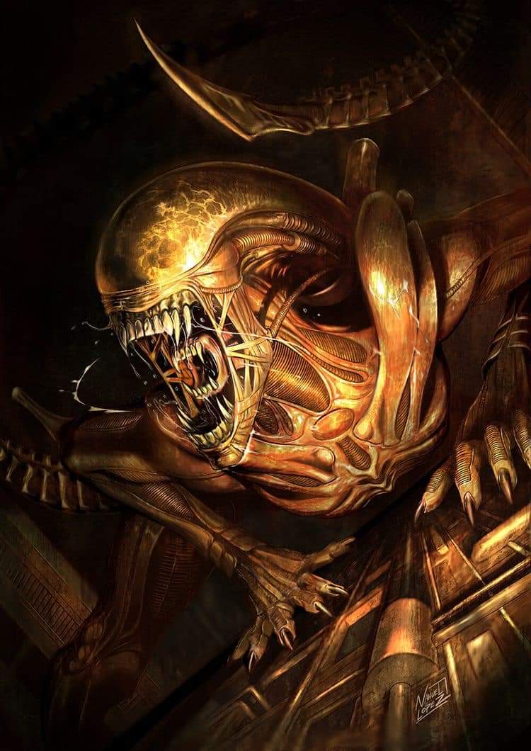 AvP Odyssey (☥𝐃𝐁) tweet media