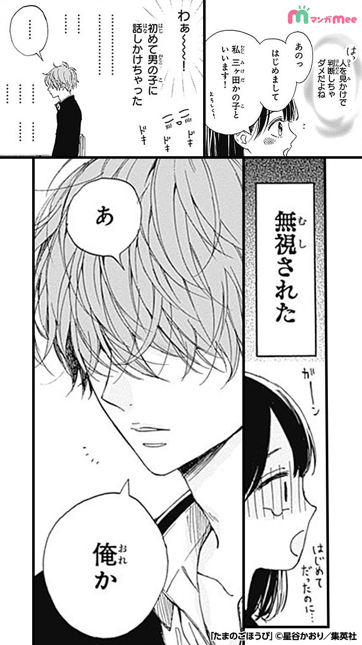 たまのごほうび - Search / X