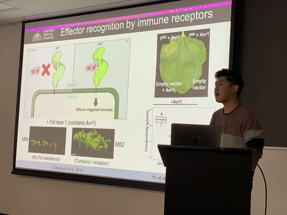@Daniel_S_Yu presenting his PhD exit seminar today, describing the FOLD effectors from Fusarium oxysporum. Doing an awesome job! Proud moment for our group, first to reach this milestone from @PlantSci_ANU