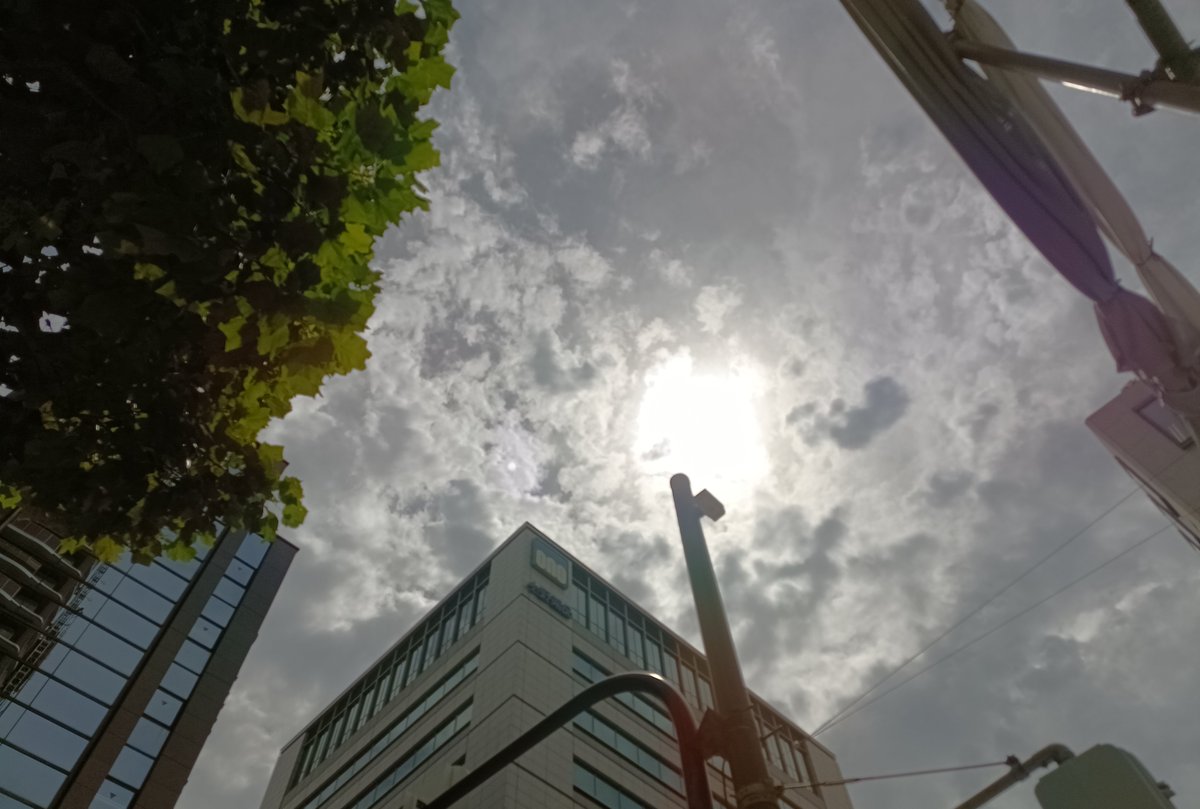 HanshinLogitec's tweet photo. こんにちは！
大阪市　33℃　曇り

今日の天気、あんま良くないですね。
いい写真取れなくて悔しい⤴🥹

今日も一日頑張りましょう！
よろしくお願いします！

#イマソラ
#企業公式夏のフォロー祭り
#企業相互フォロー https://t.co/l7QxCYKKSZ