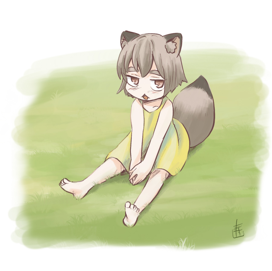 animal ears tail 1girl dress solo barefoot raccoon tail  illustration images