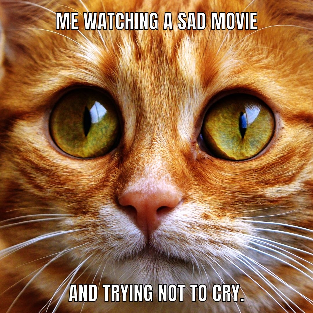 🎥 Planning a movie night? With Citi-Tech, you can stream in ultra-HD without a hiccup! 🍿🖥️
Plus, with our FREE installations, you'll be online in no time. 🙌 Sign up here --> zurl.co/95Jp 
#WirelessWednesday #SeamlessStreaming