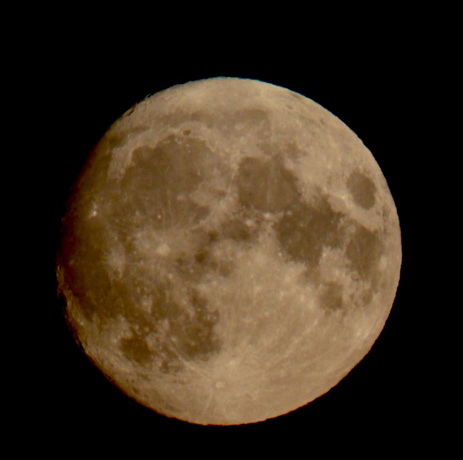 Last nights full moon, was more orange and red than blue but I’m hoping tonight’s full moon will be amazing!! #Nikon #nikonphotography #BlueMoon #Manifesting I shall be manifesting the fuck out of it!