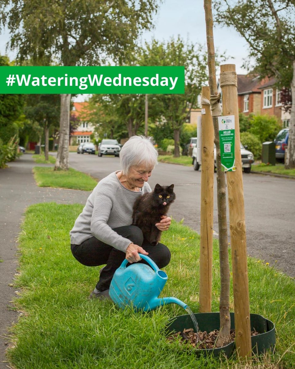 New street trees need YOUR help 🌳

❓Is there a young tree in your street?
Help it get the best start to its new life as your friendly neighbourhood tree by giving it a drink 🥤

#WateringWednesday - share the love 💚