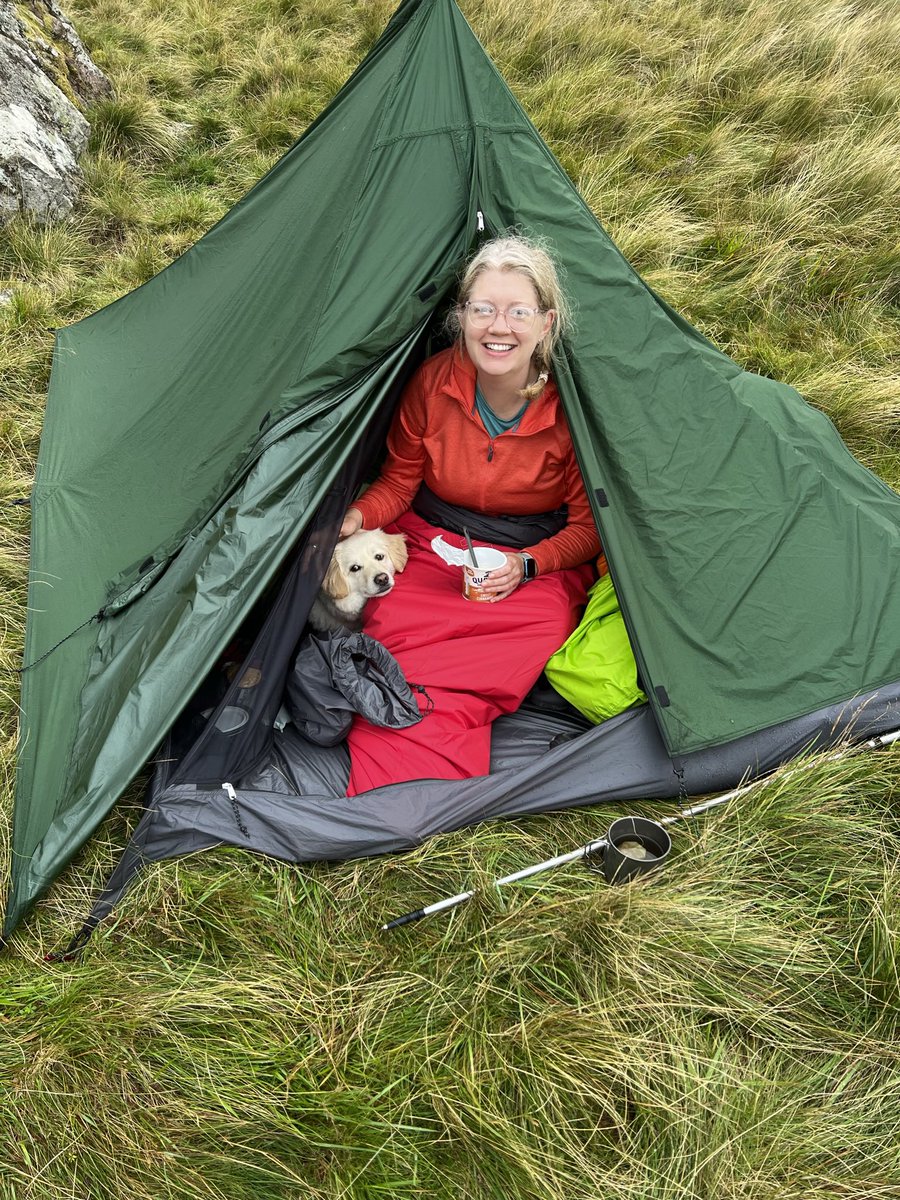 She Gets Around tweet media