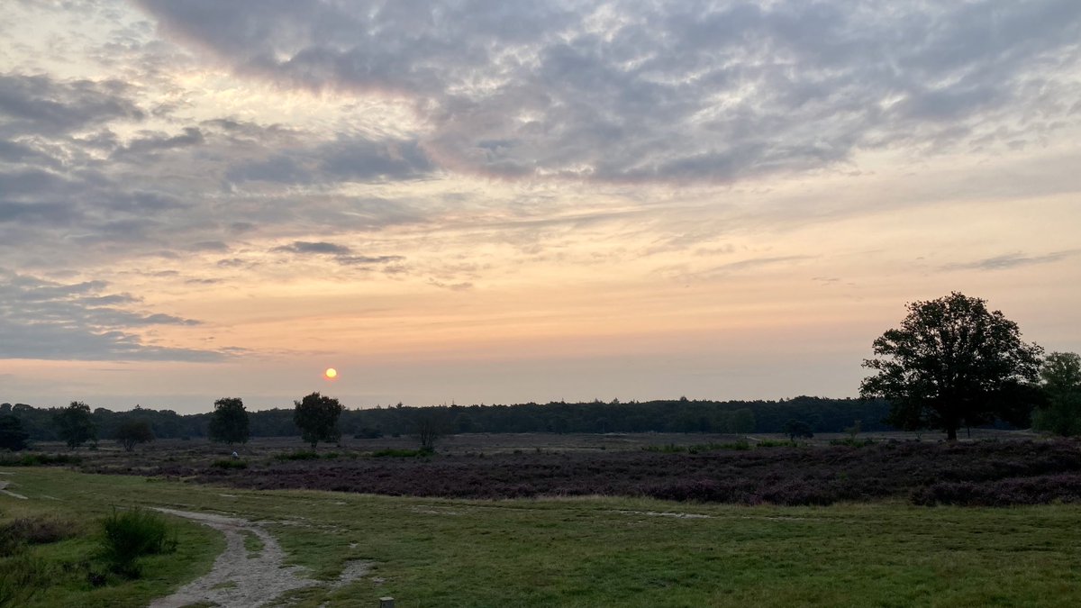 Voordeel van thuiswerken: hardlopen bij het krieken van de dag. En genieten van de zonsopkomst op de Hoorneboegse Heide die in bloei komt.