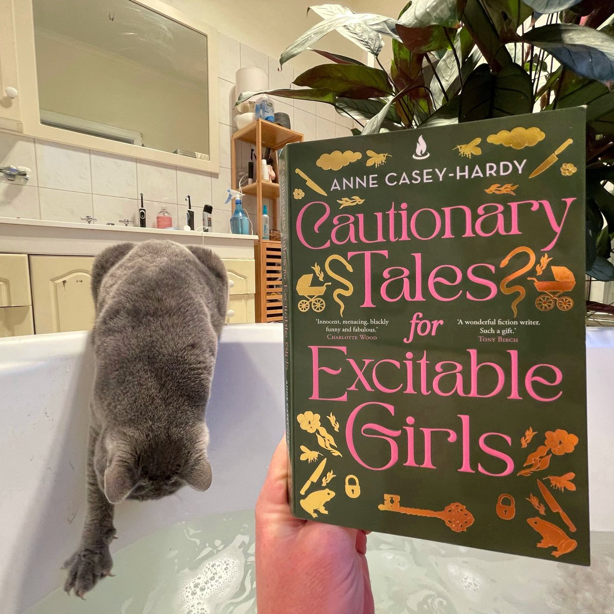 What a great collection of stories, with a surreal touch and a deliciously dark sense of humour. Cautionary Tales for Excitable Girls, by Anne Casey-Hardy @ScribnerBooks