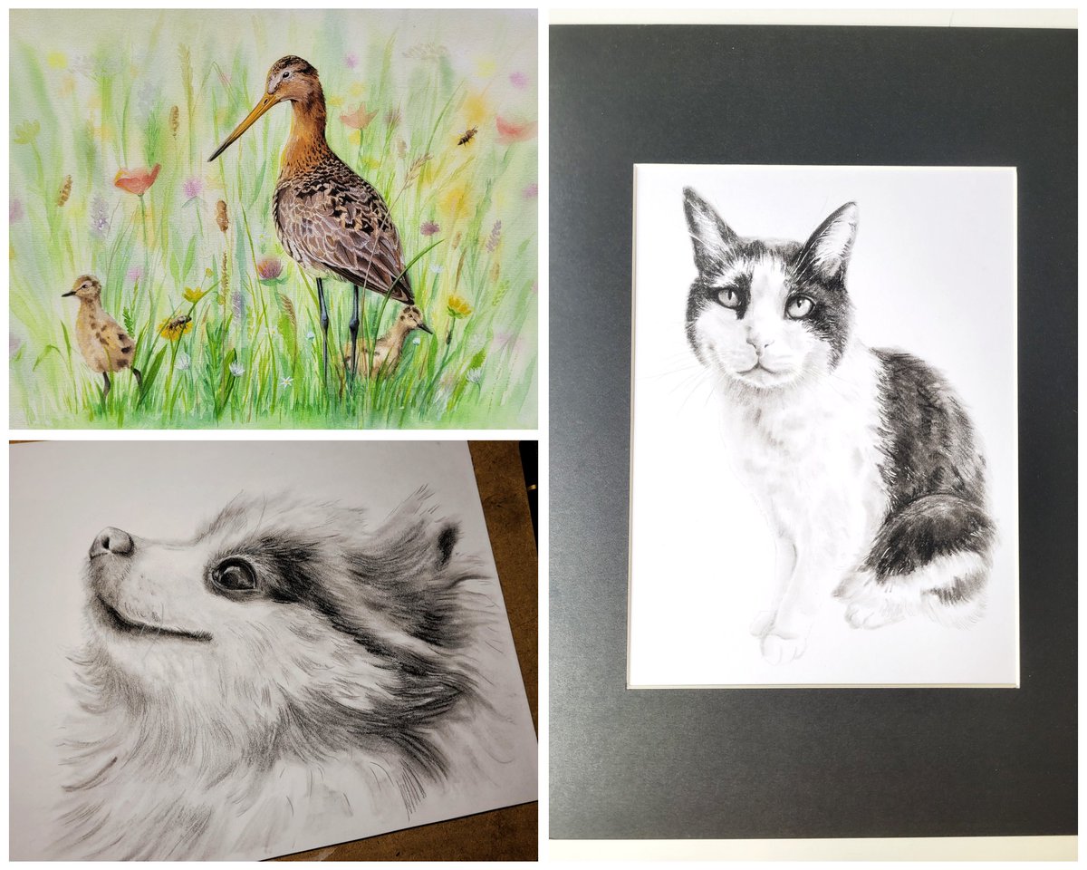 Wil je een tekening of schilderij cadeau doen, kun je altijd contact met me opnemen via DM of via mijn website.

vanjojan.nl

Wacht niet te lang als je iets voor de feestdagen wil laten maken! Ik heb nog een paar plekken vrij.