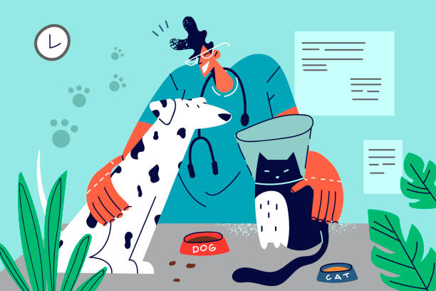 LibraryData's tweet image. Companion Animal Diagnostics Market Opportunities Recorded for the Forecast Period to 2032
read more-rb.gy/49oqk
#marketsize #marketshare #markettrends #marketresearch #marketreports