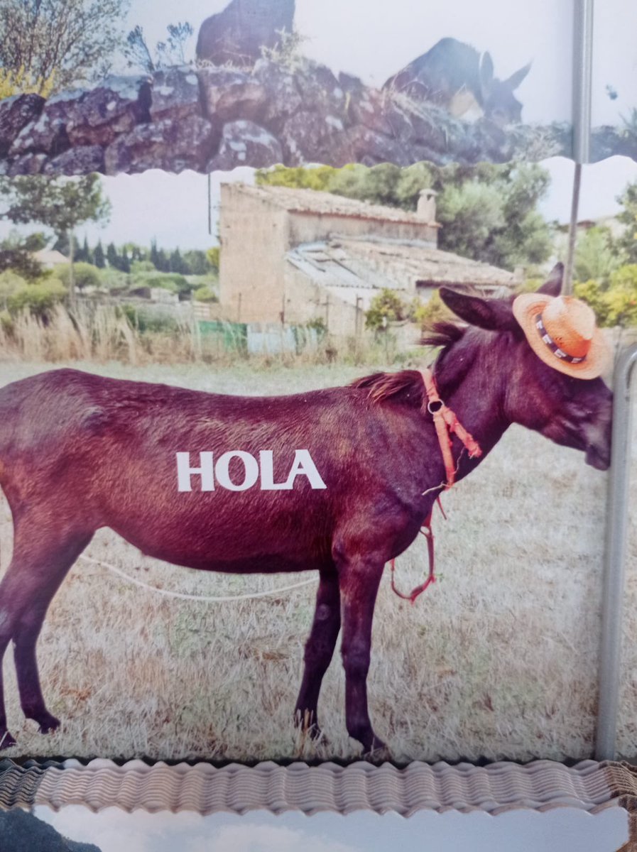 chaoticmaria tweet media