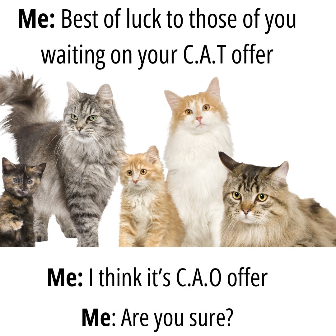 CAO 2023 offers will be available today from 2pm online. We wish the Best of Luck to those of you awaiting offers. We look forward to welcoming you to library very soon! #bestofluck #CAO #ucclibrary 🍀