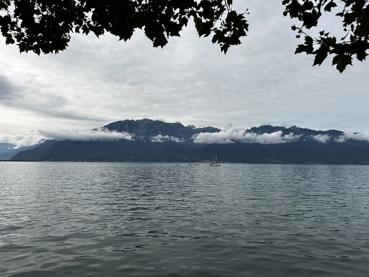 Bignewshound tweet media