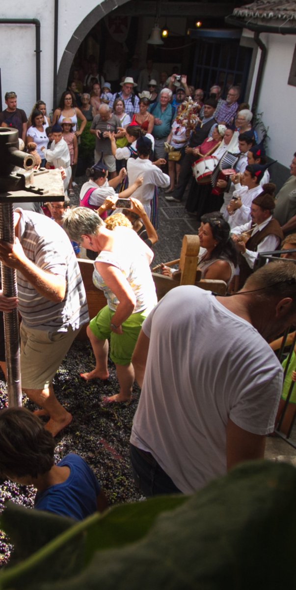 Let's have some fun crushing grapes 🍇

#Madeira #Portugal