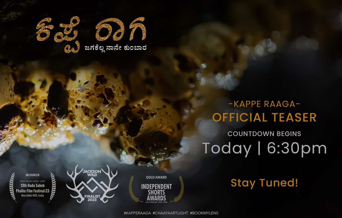 A beautiful song with amazing lyrics &amp; music has the super-power to touch your heart &amp; soul in an incredible way, it leaves you mesmerized &amp; enchanted.

Something exciting is coming your way. 
The countdown is on for "Kappe Raaga", First of its kind musical wildlife docufilm.