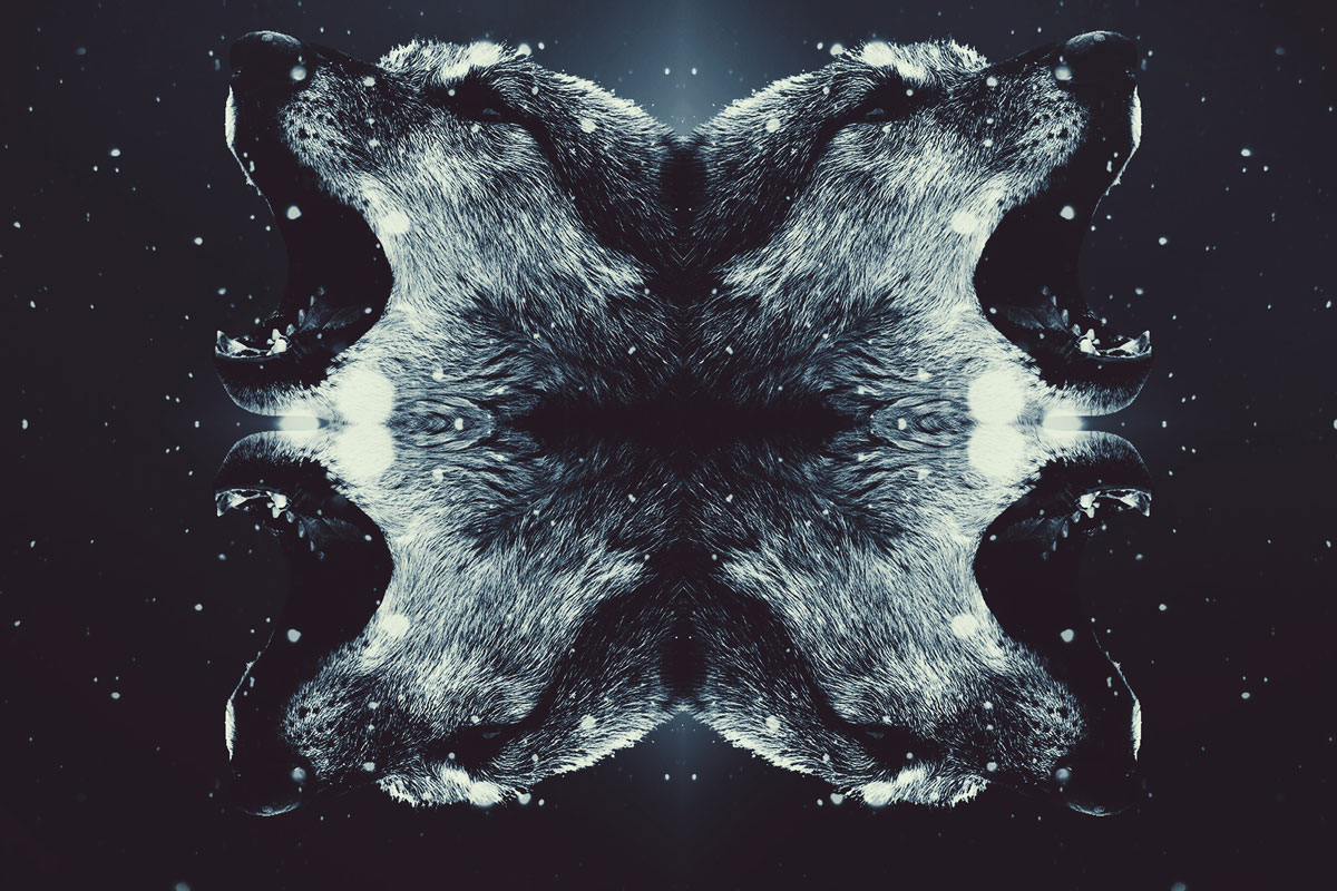 Practical Aspects for Dealing with Fear Ram Dass invites us to move toward our fears, sitting with them and slowly …
🎧 ramdass.org/practical-aspe…
#ramdass #dealingwithfear #fear #love #practical #mindfulness #awareness #practice #truth