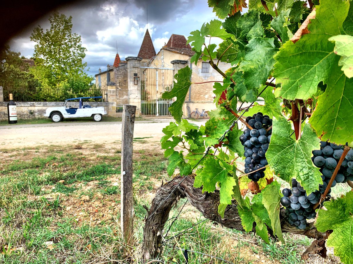 iljagort's tweet image. Rond het oude wijnkasteel lijkt niets de eeuwige rust te verstoren, maar er hangt een trilling in de lucht, licht als de vleugelslag van een vlinder. Alleen de enkeling die daar gevoelig voor is zal het opmerken: hier staat iets te gebeuren.