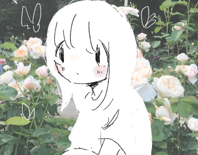 これもあるよ! 