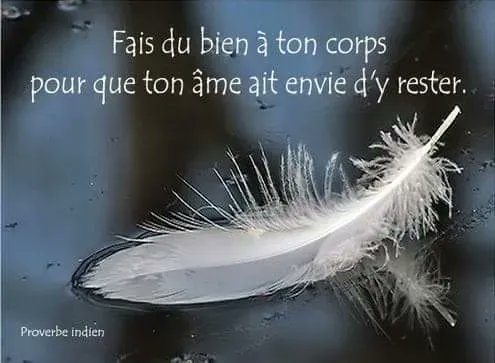 DVanOnacker's tweet photo. Belle journée à vous, à nous, à toi, à moi,... 🏃 🍨 🛌 😆
#citation #philo #ProverbeIndien https://t.co/UWwEdDsTu4