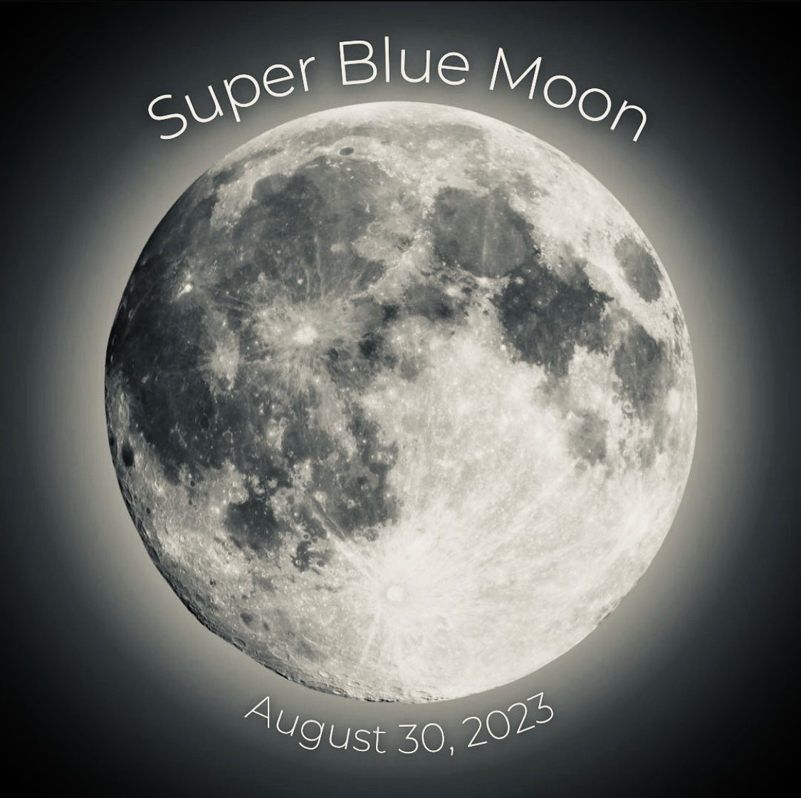 Giseladejager's tweet image. 