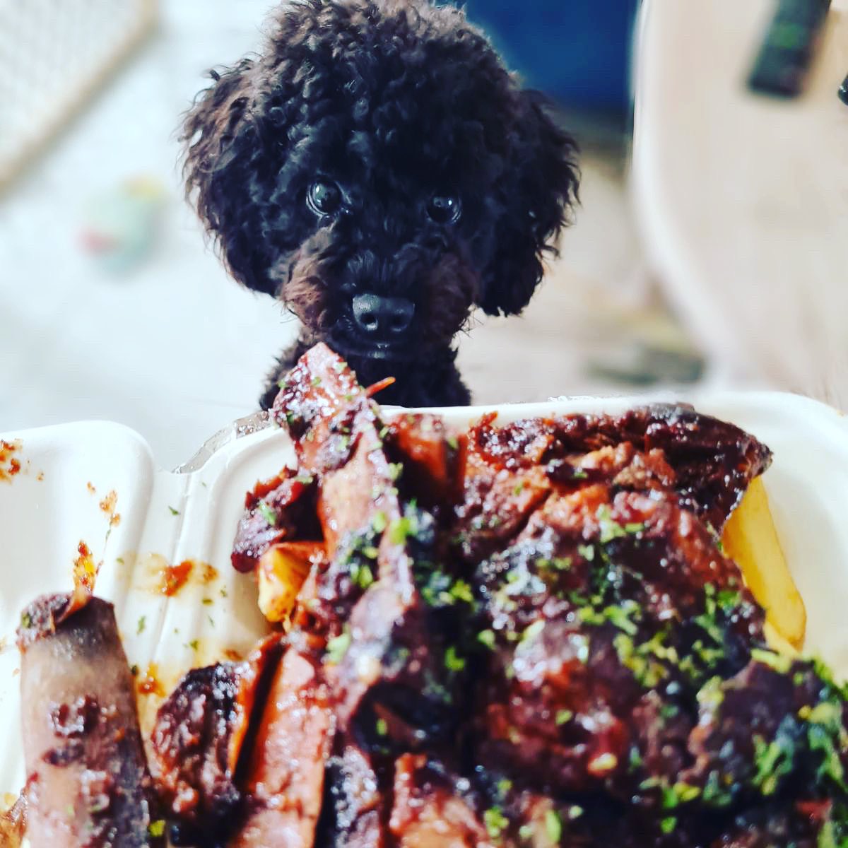 Milo knows the vibes