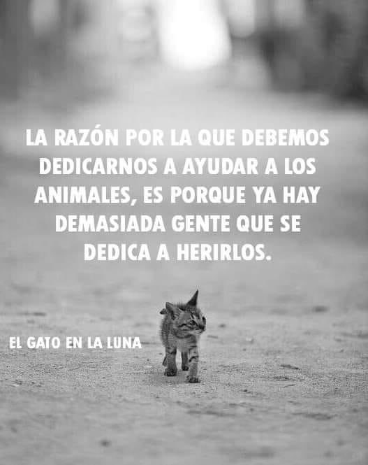 Sin su ayuda no podríamos, les debemos todo amigos 🙏

Gracias de todo corazón ♥️