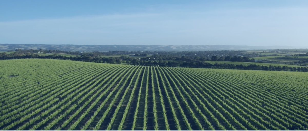 The Aust Plant Pathology Society (APPS) conference is in Adelaide this year and what a stellar program. Early bird closes Sept 11… not much time left! 
SA is definitely the place to be! Watch “APPS 2023 - Save the Date” on #Vimeo vimeo.com/775595398. 
eventstudio.eventsair.com/apps2023/