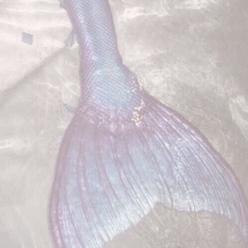為了游泳我們需要保守秘密. 🐚