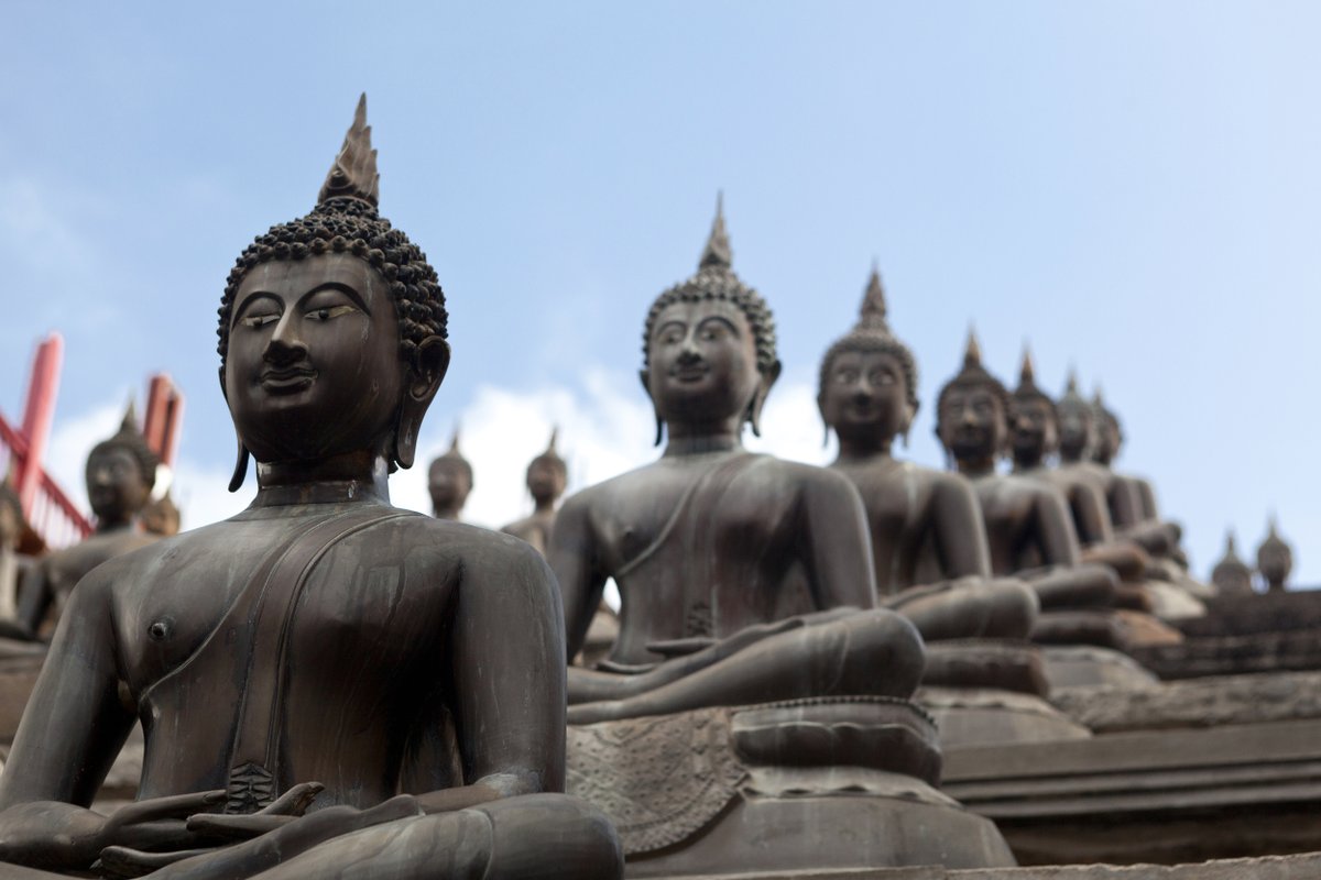 Columbus Tours Sri Lanka tweet media