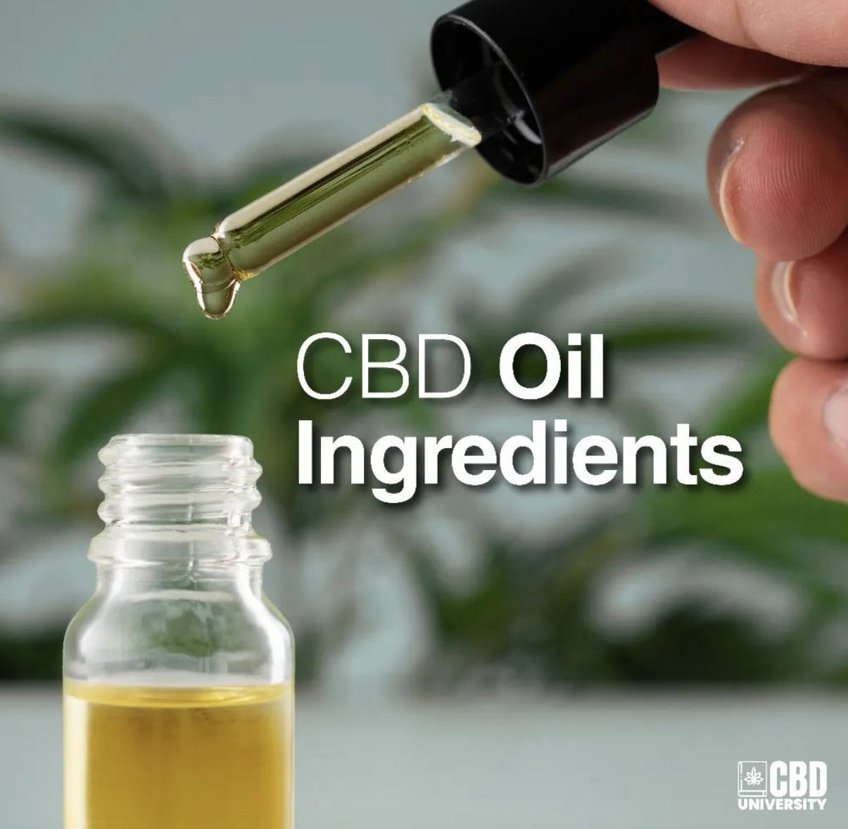 wellness360Carm's tweet photo. Education about how various ingredients are blended with CBD oil and how they affect the final product is very important. Register for the #CBDUniversity course to learn more.
https://t.co/SFnQrTnbhf
.
.
.
#CBDBlend #CBDU #carmenmilagro #IngredientImpact #hempcbd https://t.co/1ac0Ui1zra