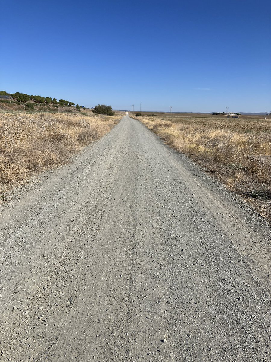 markyatessmith's tweet photo. Seville to Guillena 14 miles much of it looked this. 30+ degrees. I made it. https://t.co/UlR6w8LfDg
