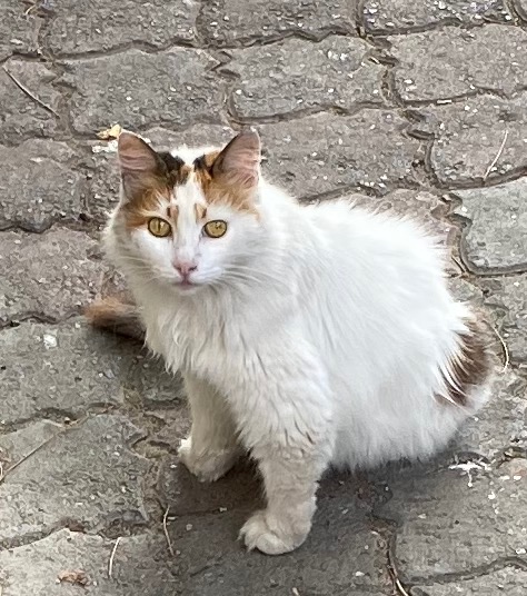 30 Ağustos Çarşamba güzeli