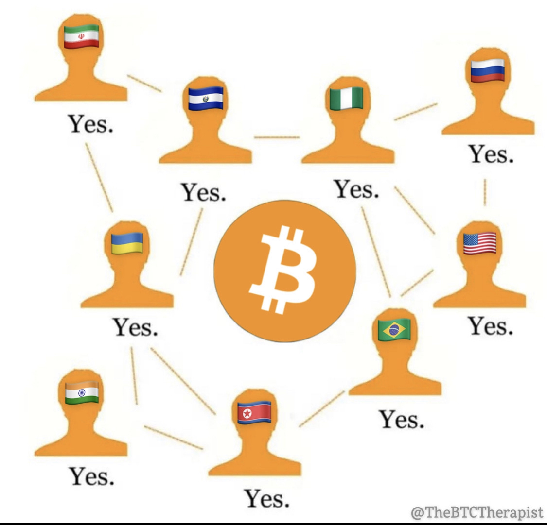 The ₿itcoin Therapist tweet media