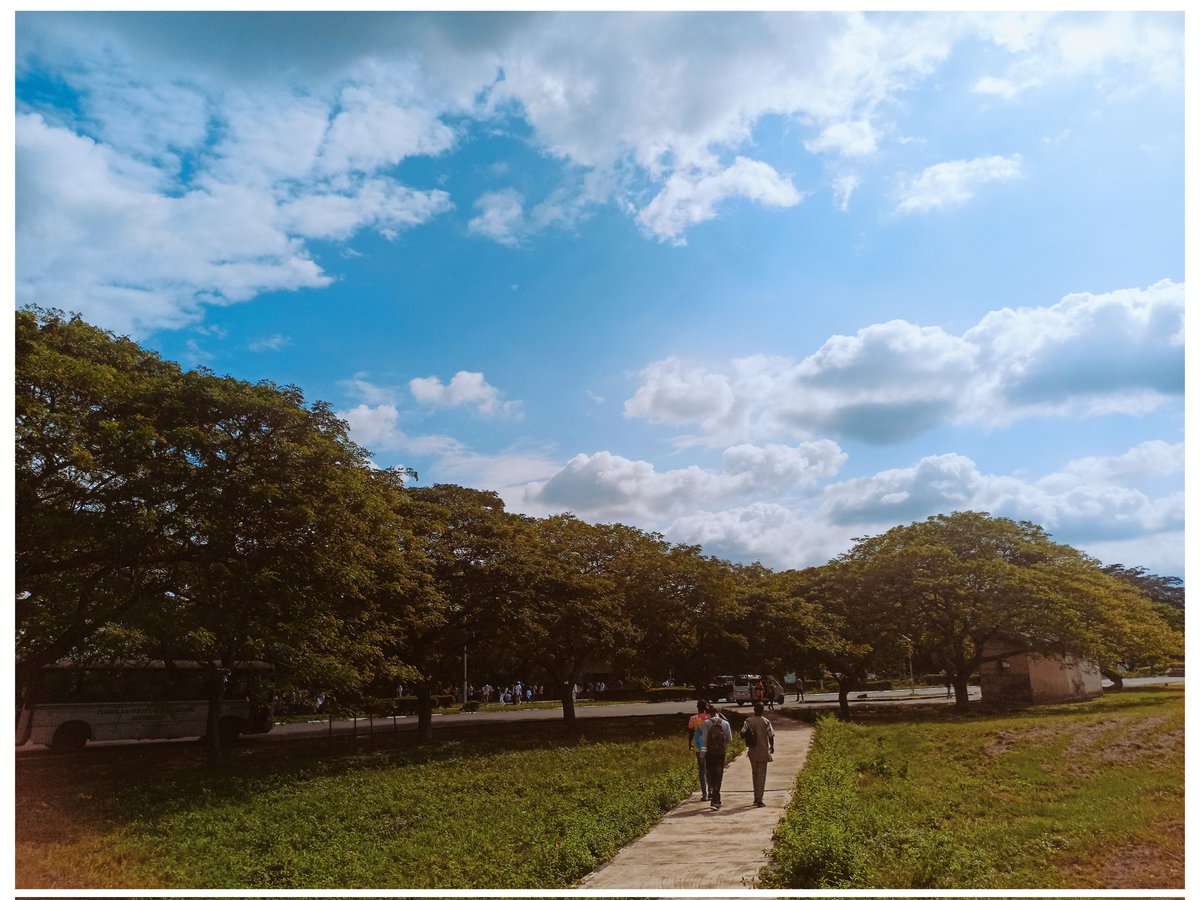 jaron_ayobami's tweet photo. Nature 🌳
#LearnWithSnapdragon #Snapdragon @Snapdragon #ShotOnSnapdragon #SnapdragonInsiders 
#Redmi @Xiaomi @XiaomiNigeria #NaturePhotography #mobilephotography https://t.co/t4lJTmVcuI