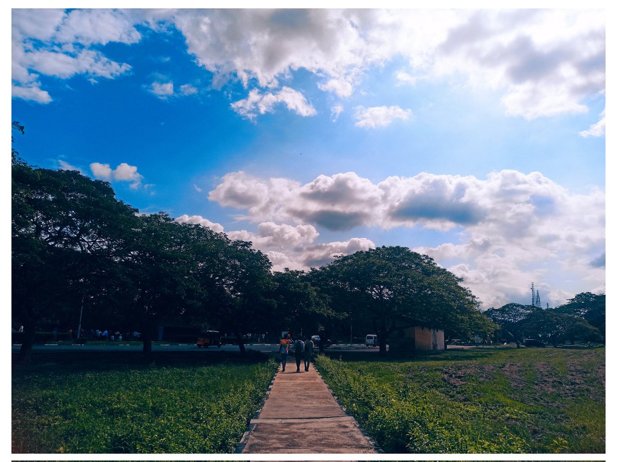 jaron_ayobami's tweet photo. Nature 🌳
#LearnWithSnapdragon #Snapdragon @Snapdragon #ShotOnSnapdragon #SnapdragonInsiders 
#Redmi @Xiaomi @XiaomiNigeria #NaturePhotography #mobilephotography https://t.co/t4lJTmVcuI
